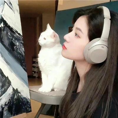 上海狂想曲